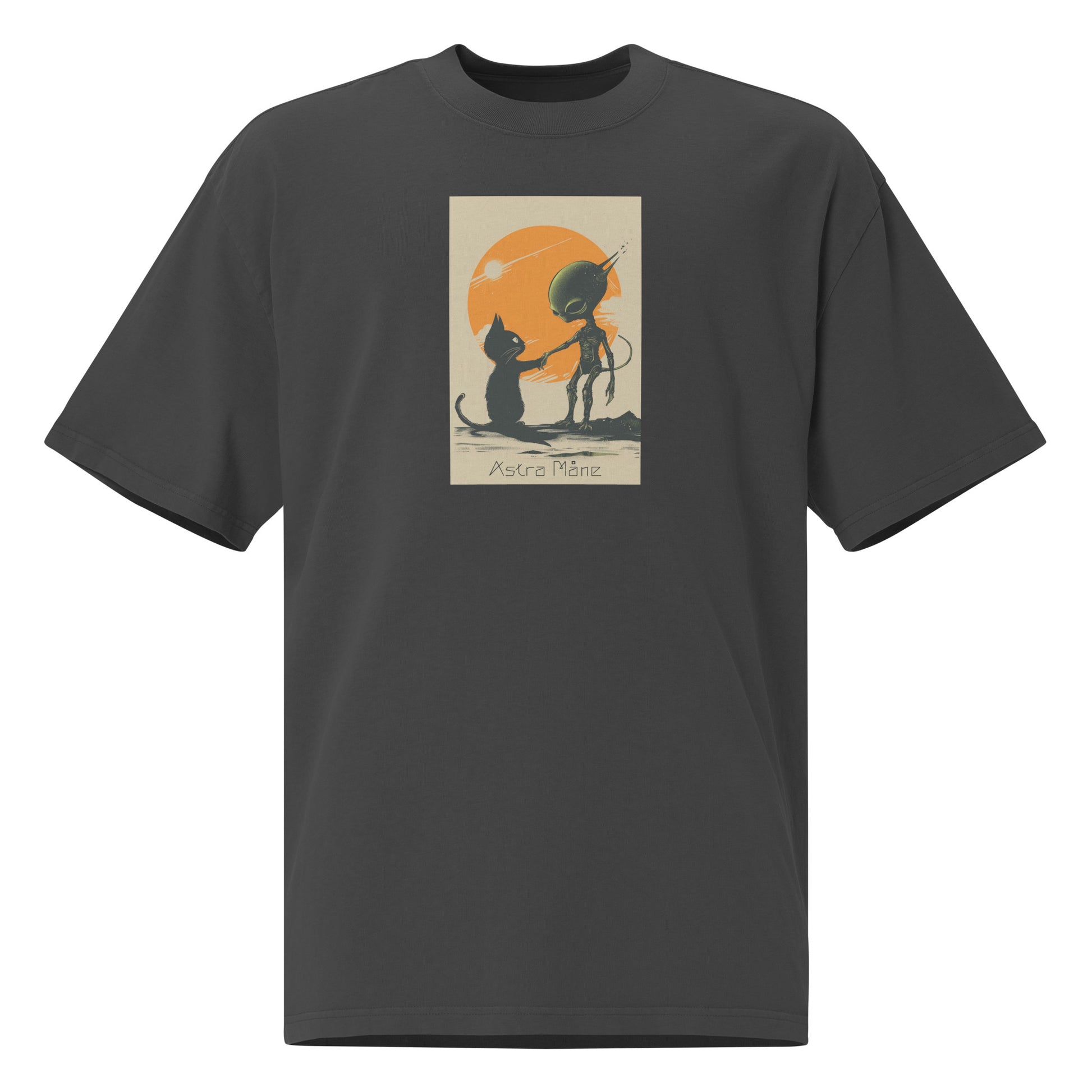 Alien Familiar | Oversized faded t-shirt